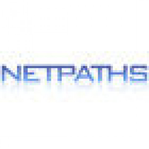 Visit Netpaths Web Design