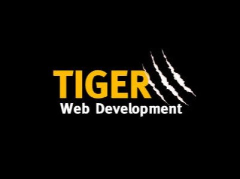 Visit Tiger Web Development