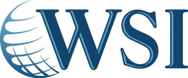 Visit WSI Dynamic Solutions