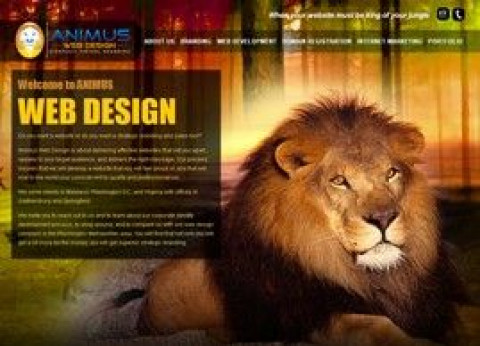 Visit Animus Web Design