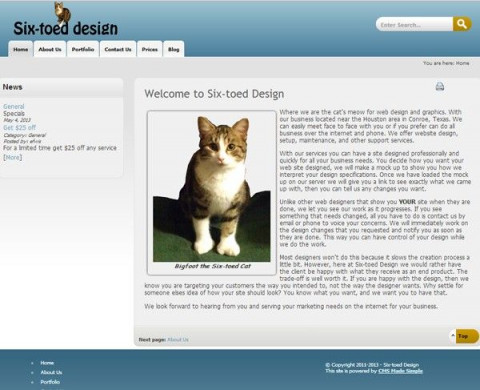 Visit Six-toed Design