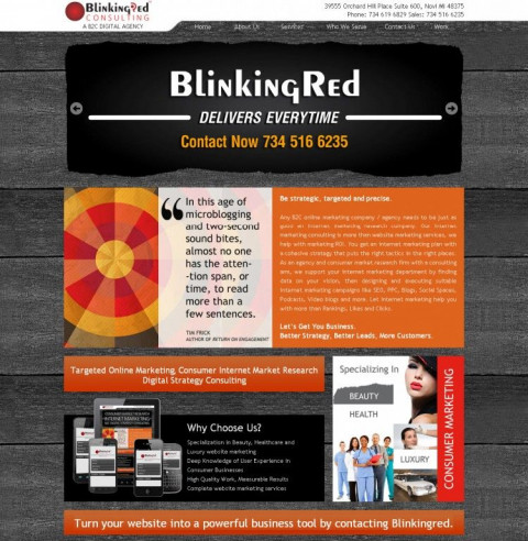 Visit Blinking Red Consulting