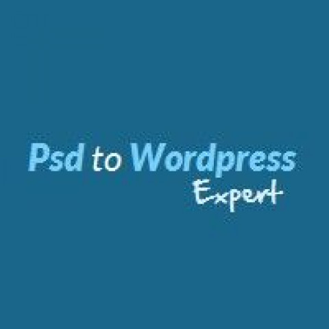 Visit PSDtoWordPressExpert
