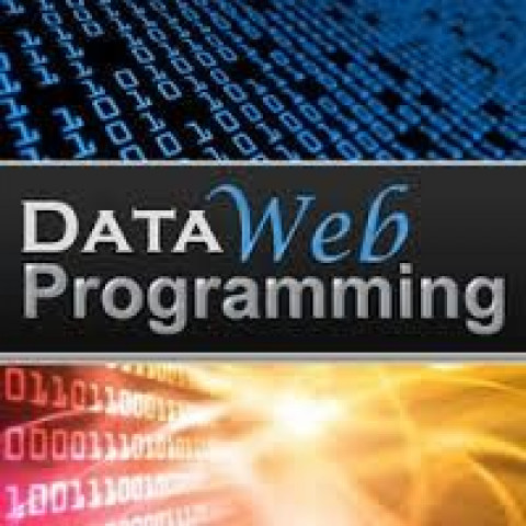 Visit DataWeb Programming LLC