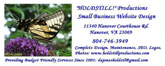 Visit HOLDSTILL Productions Small Business Website Design  for USA