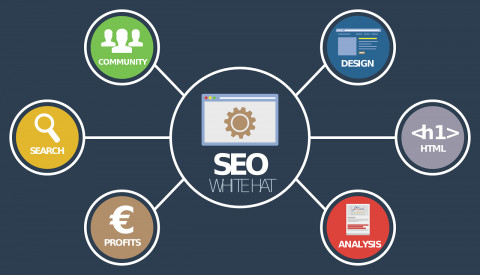 Visit San Jose SEO Agency | Website Design, SEO, PPC