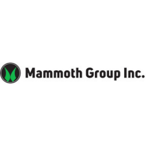 Visit The Mammoth Group